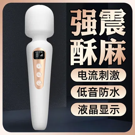 一颗青杏 圣骑士电击震动AV棒