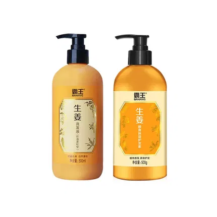 霸王 生姜洗护套装 500ml*2瓶入